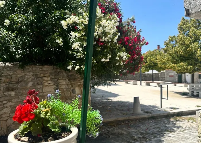 Obala Deluxe- Location ביוגראד נה מורו