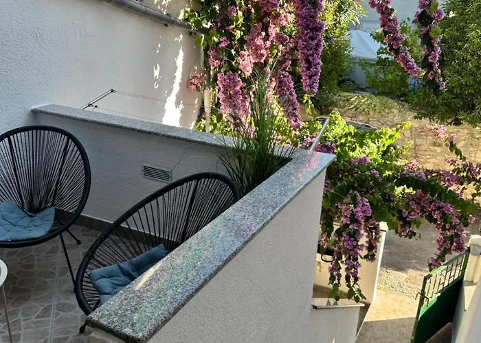 Obala Deluxe- Location 비오그라드나모루